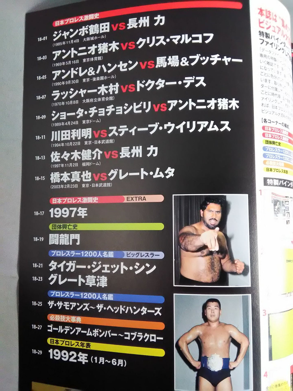 Japan Pro Wrestling 60 Years of Fierce Battle (18)