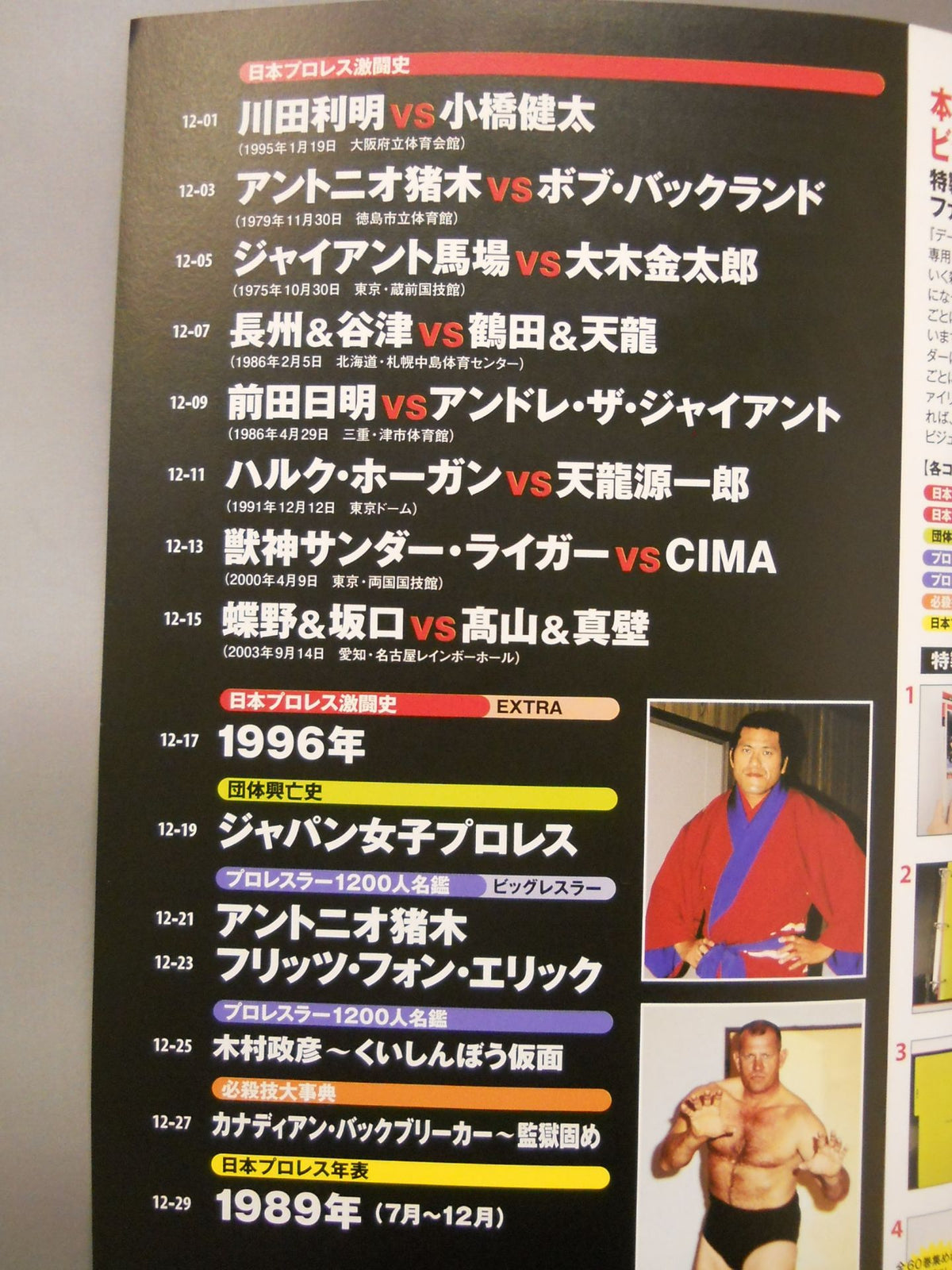 Japan Pro Wrestling 60 Years of Fierce Battle (12)