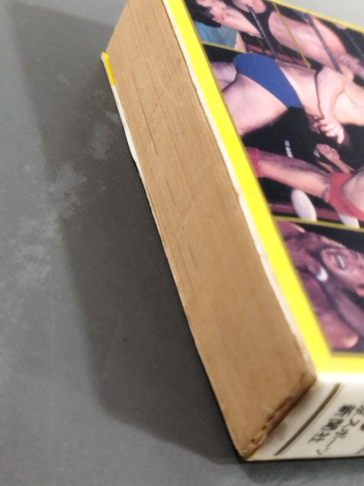 Revised Pro Wrestling Encyclopedia