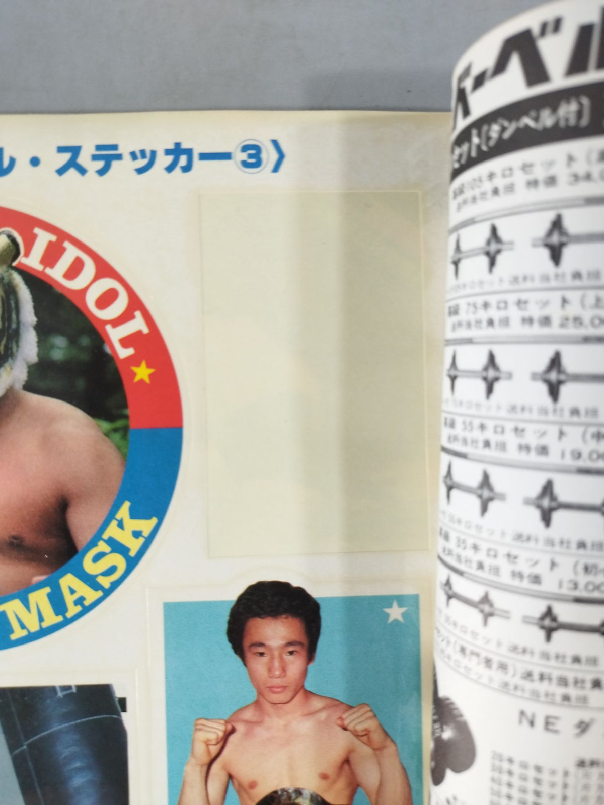 月刊ゴングVol.14 No.11