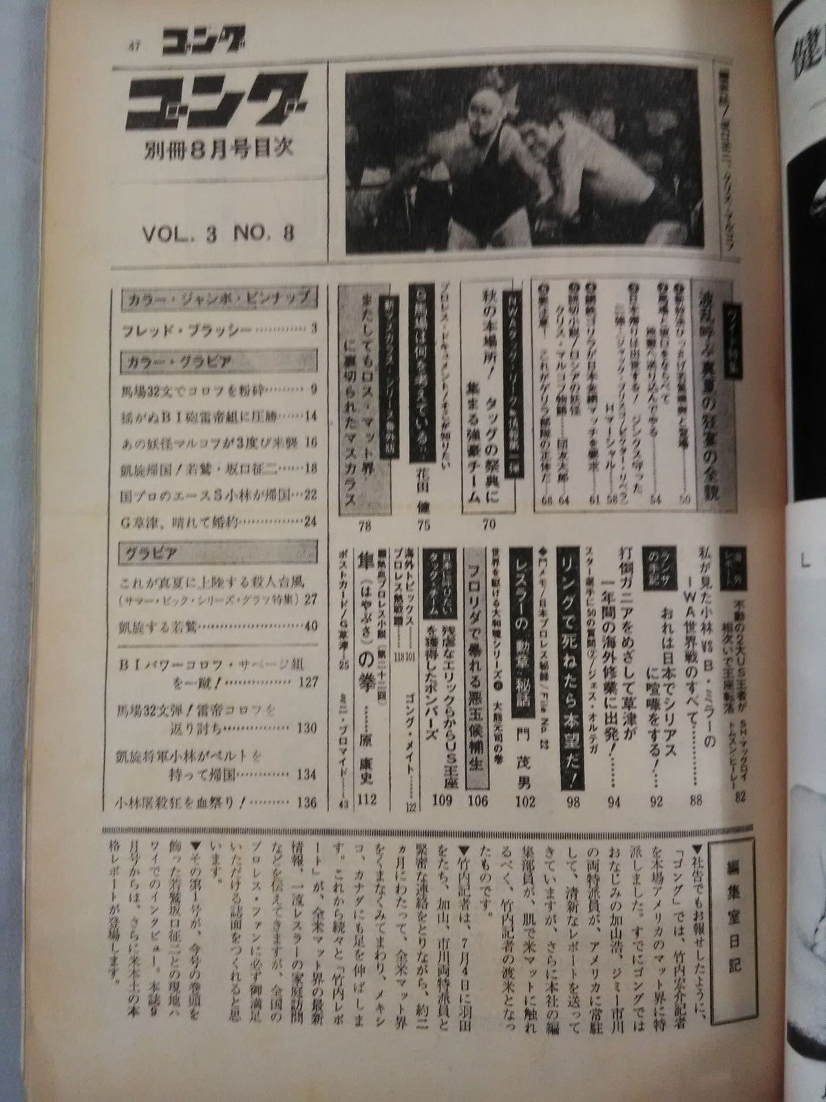 別冊ゴングVol.3 No.8