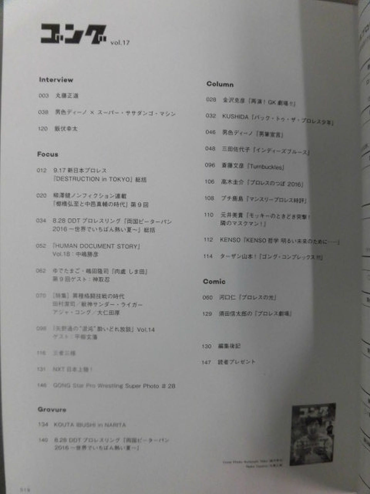 Gong Vol.17