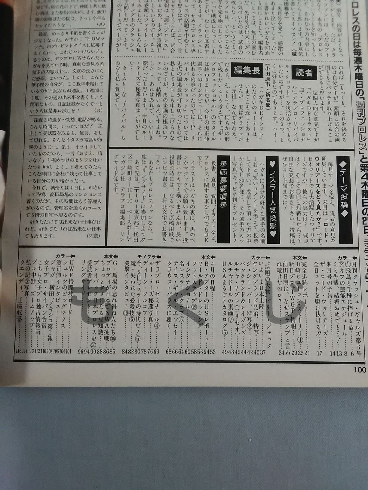 Deluxe Pro Wrestling May 1985 Issue