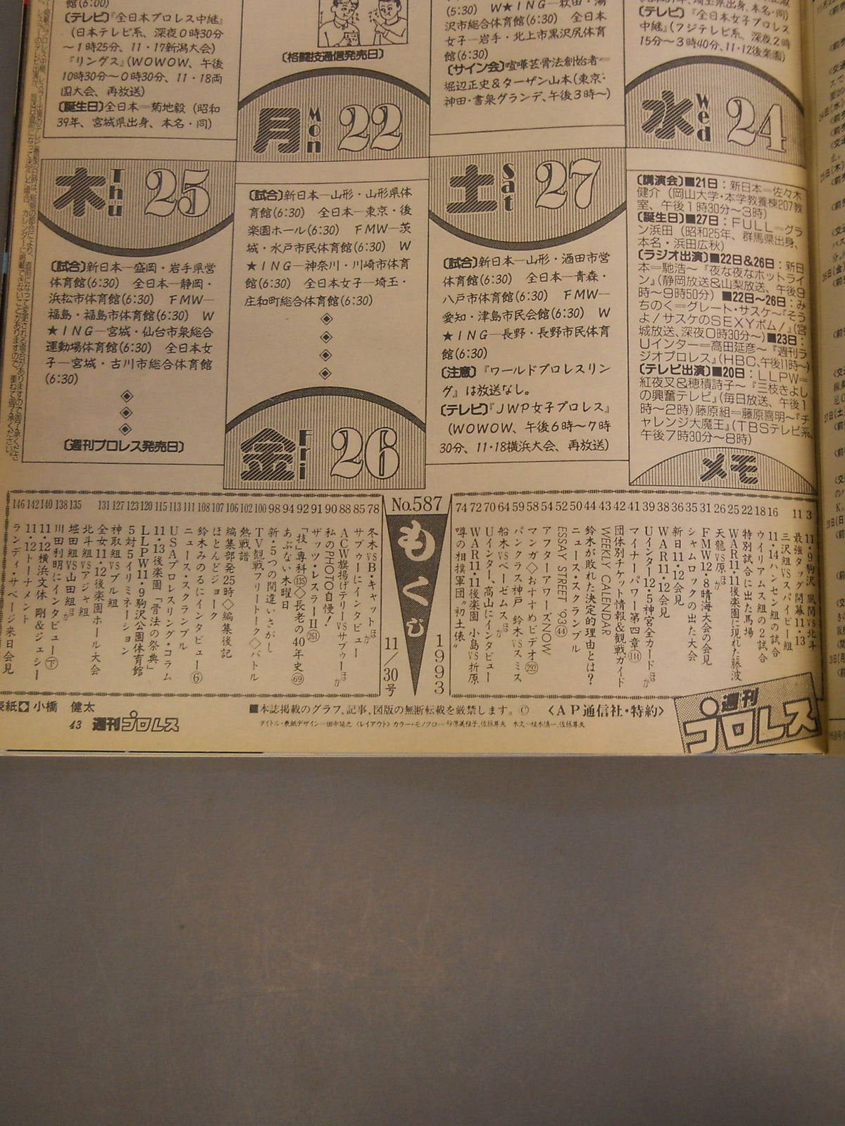 Weekly Pro Wrestling 587