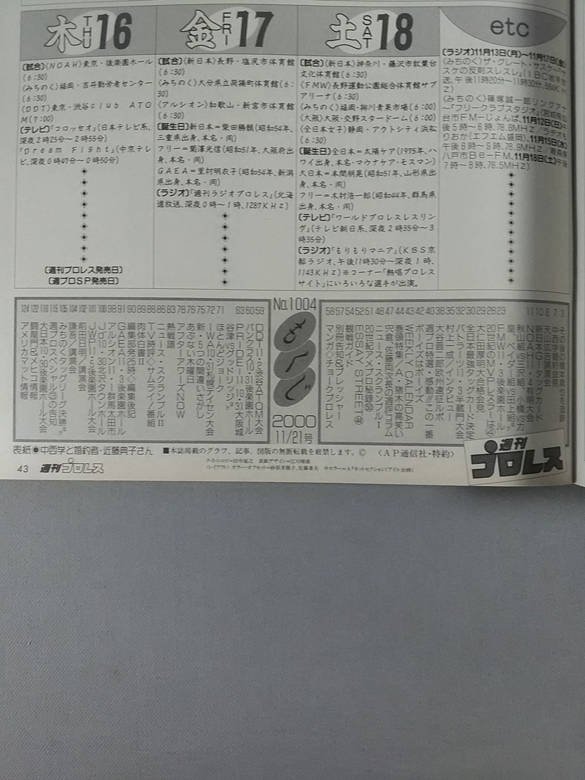 Weekly Pro Wrestling 1004