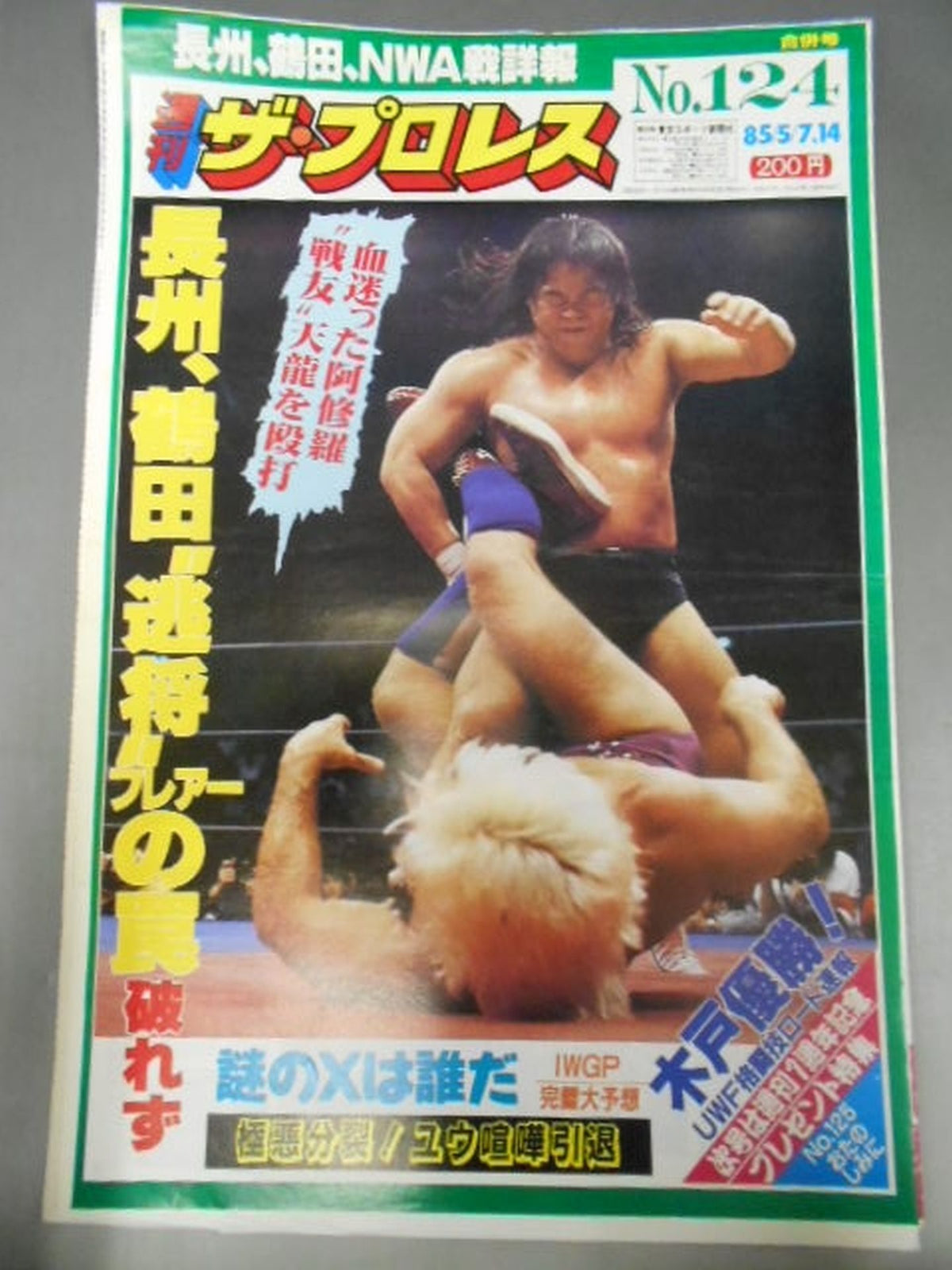 週刊ザ・プロレス124