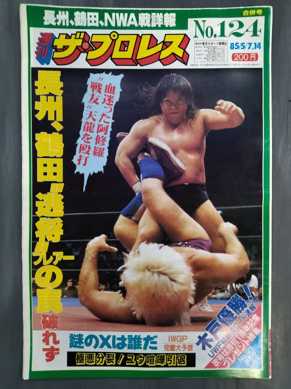 Weekly The Pro Wrestling 124