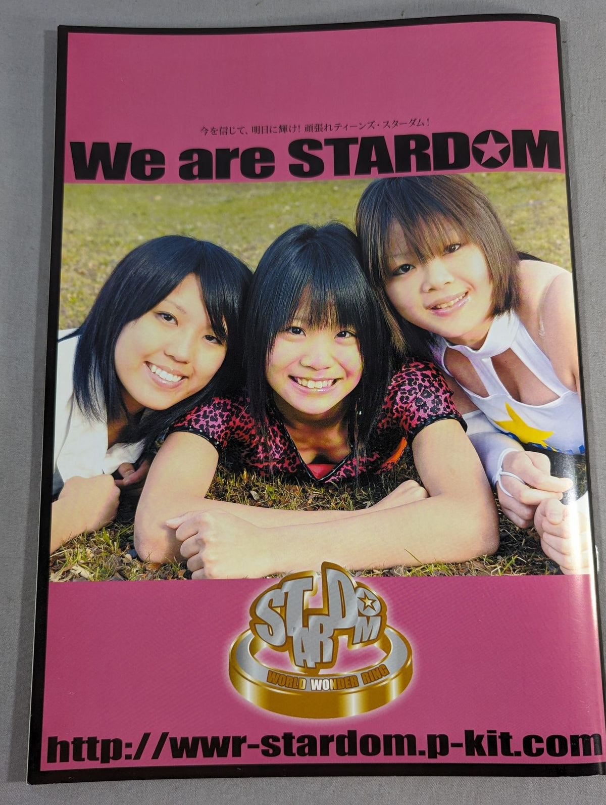 STARDOM OFFICIAL GUIDE BOOK Vol.3