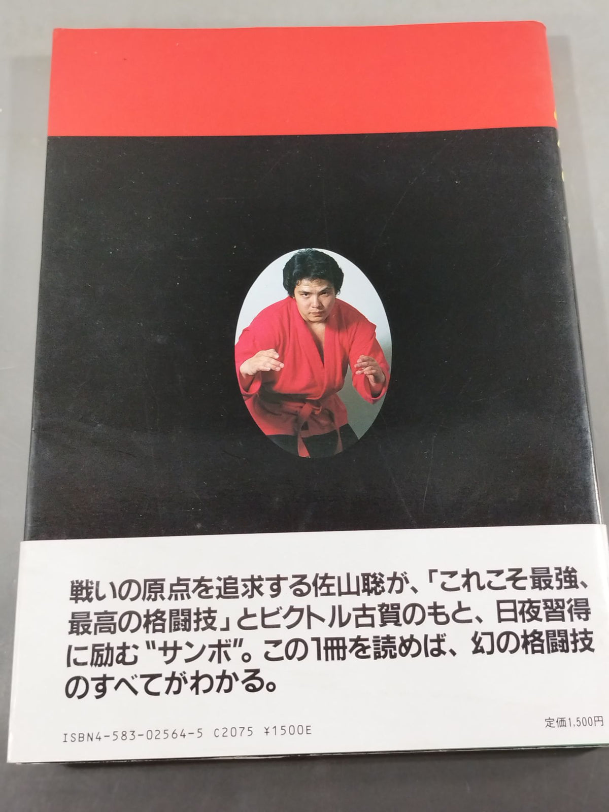 これがサンボだ!