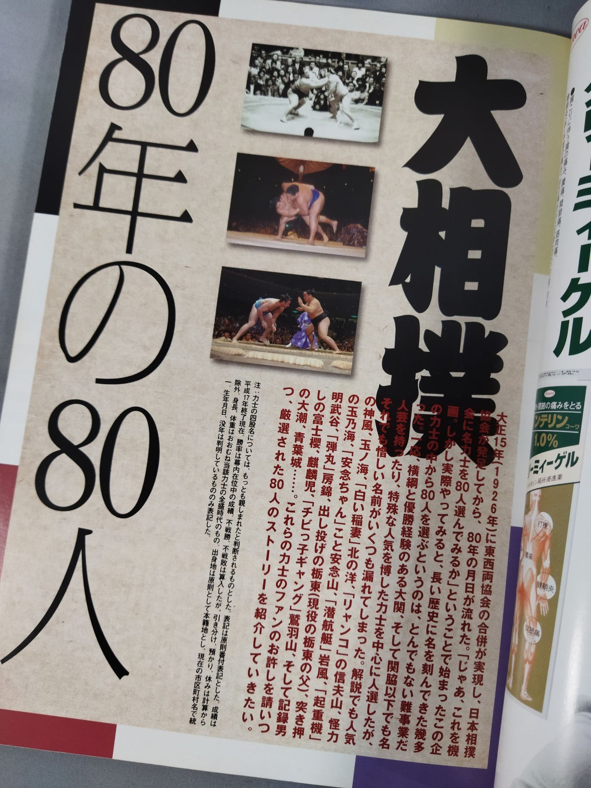 大相撲80年の80人 相撲界の歴史を作った名力士群像