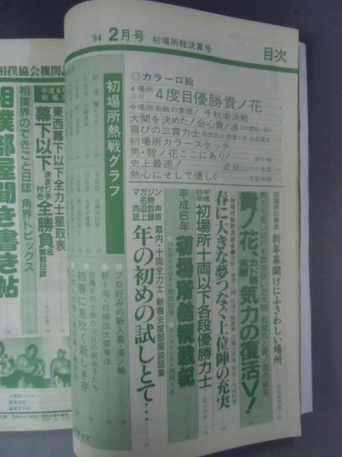 相撲 1994年2月号