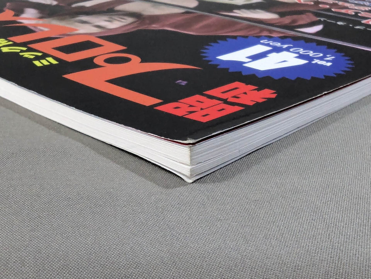Dr. Mick's Showa Pro Wrestling Magazine No. ★ 41 Special Feature: Junior Heavyweight Chronicle Chapter 2