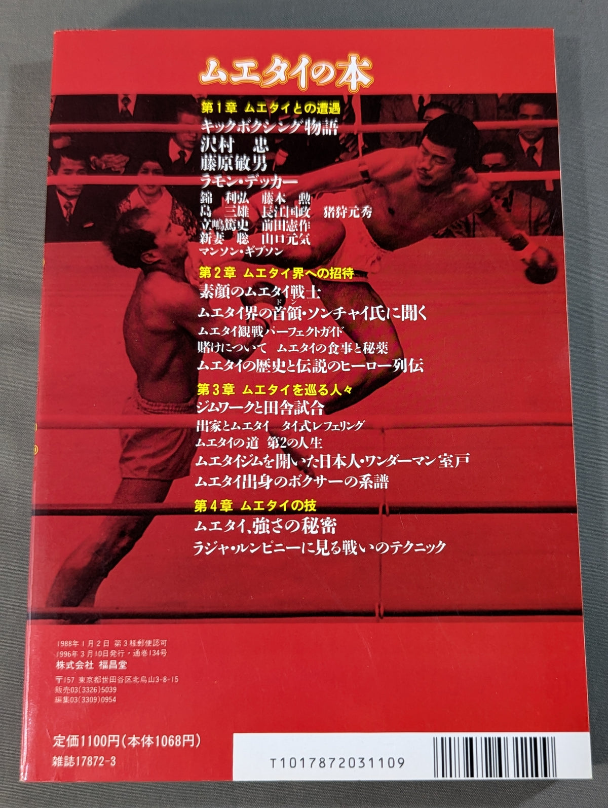 King of Fighters 6 Muay Thai Book / Standing Technique Strongest Martial Arts, Muay Thai Reading Book