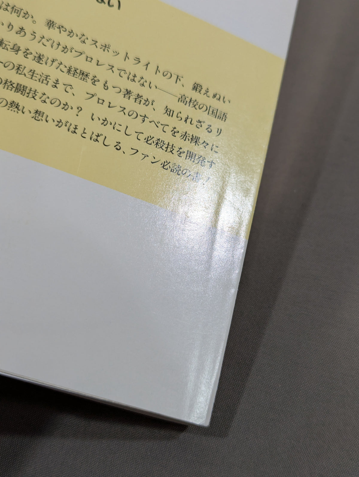 君はまだプロレスを知らない 格闘技哲学宣言