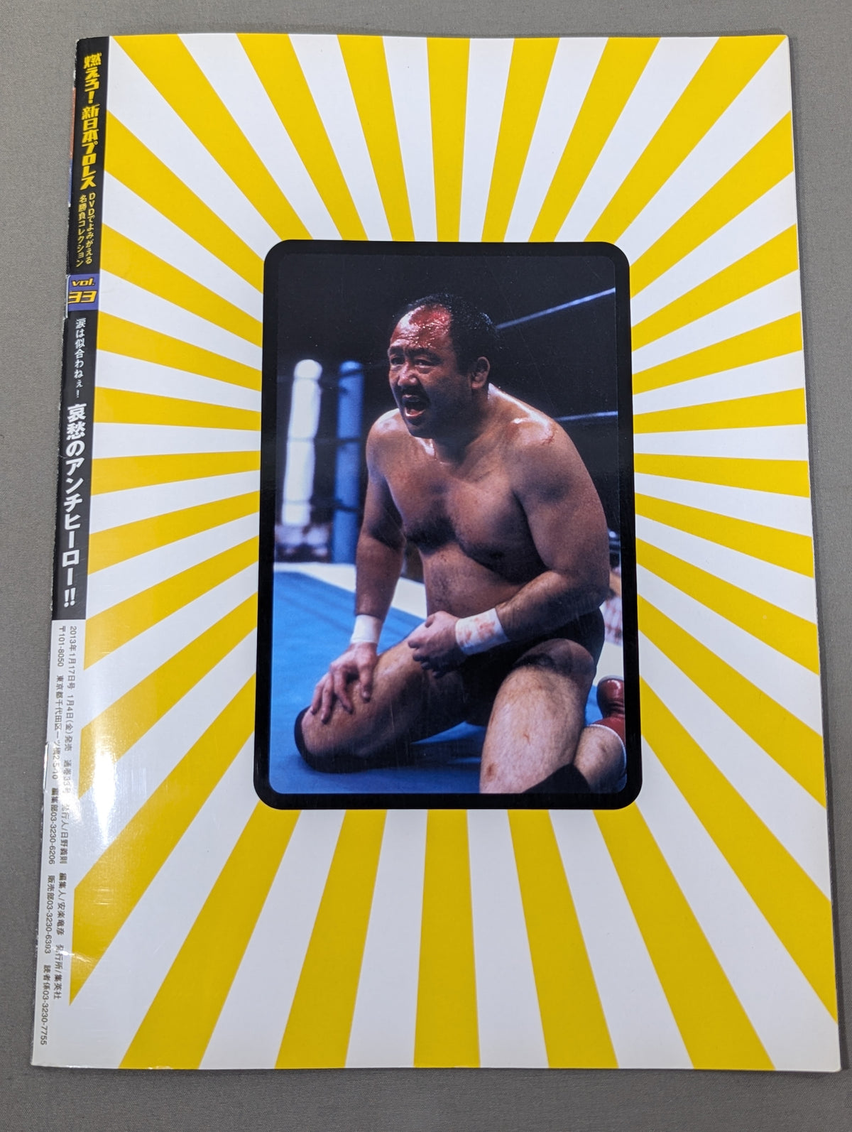 燃えろ!新日本プロレス vol.33