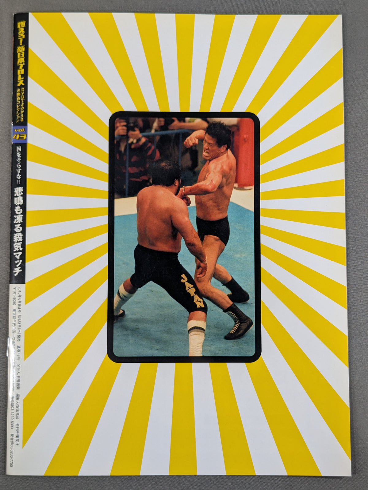 Burn! New Japan Pro Wrestling vol.43