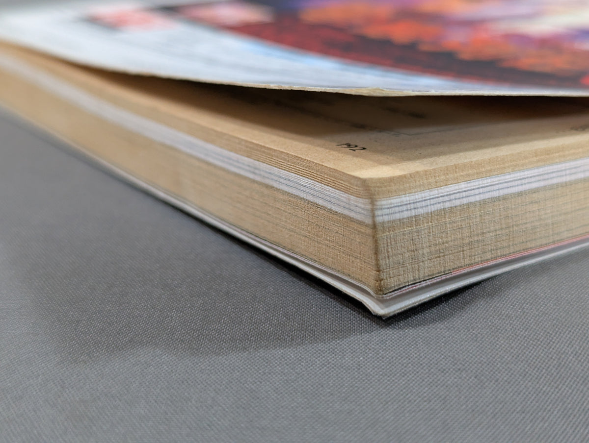 Paper Pro Wrestling 21