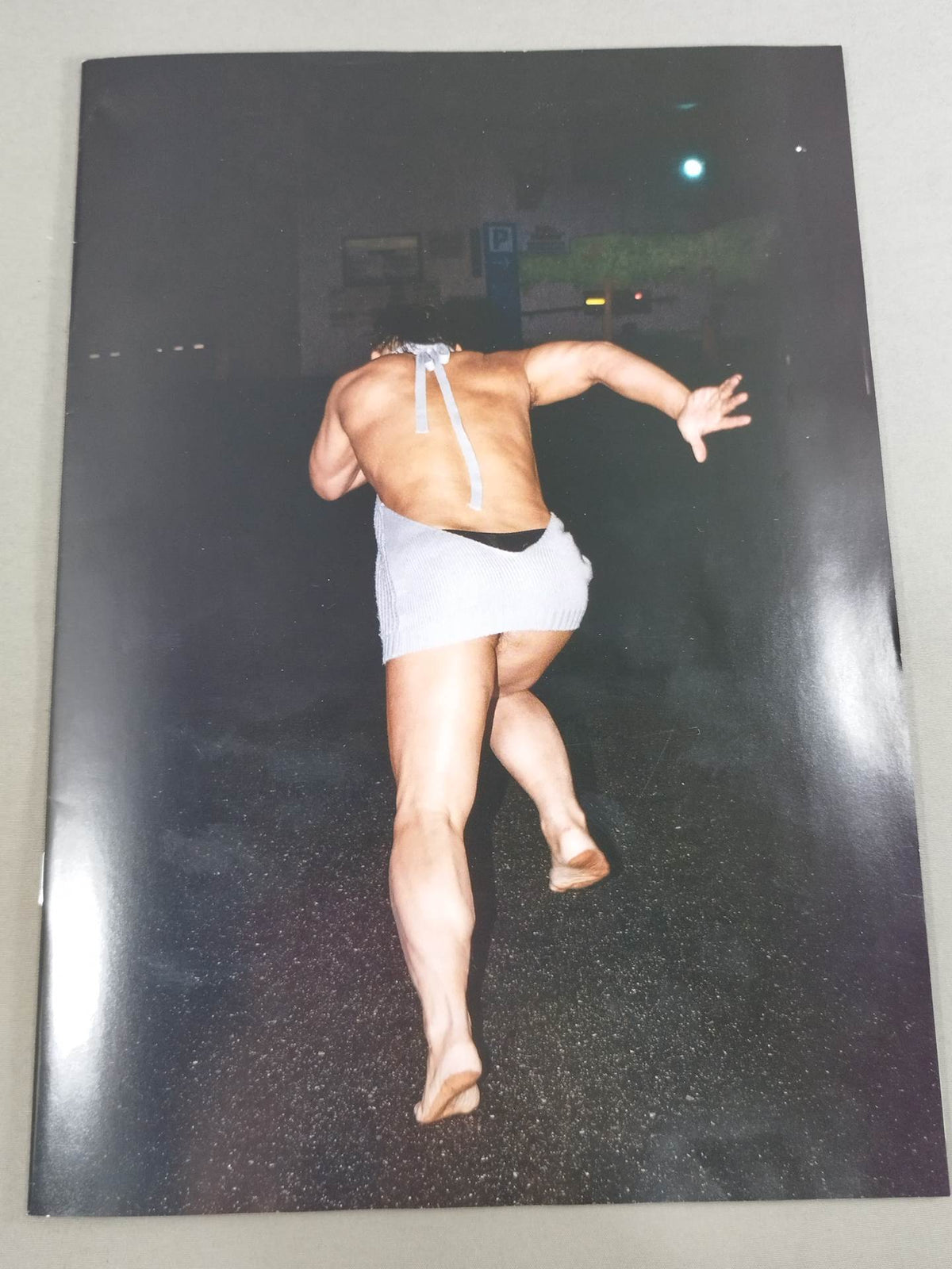 【hand signed autograph】 Hikaru Sato Photo Collection "Monthly Hikaru Sato "