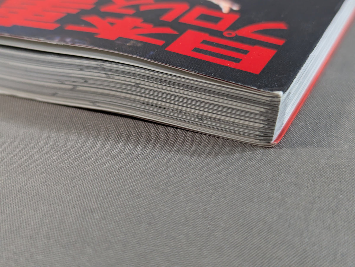 Japan Pro Wrestling Case History Handy Edition Vol.1: The Light and Shadow of the "Golden Age"