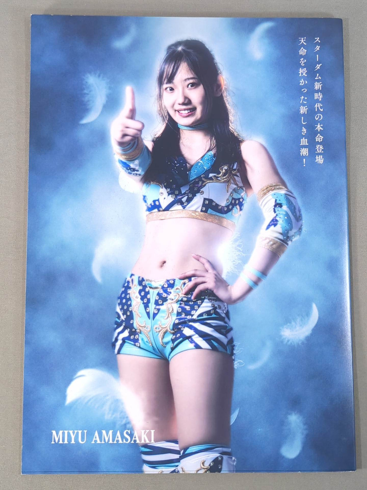 STARDOM OFFICIAL GUIDE BOOK Vol.141
