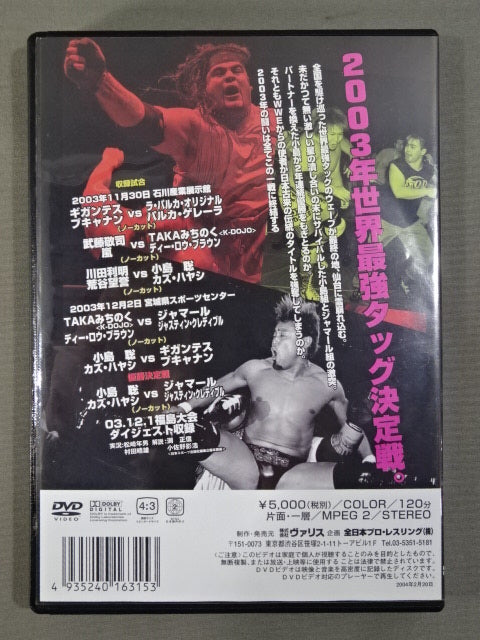 2003 Real World Tag League PART.3 Championship