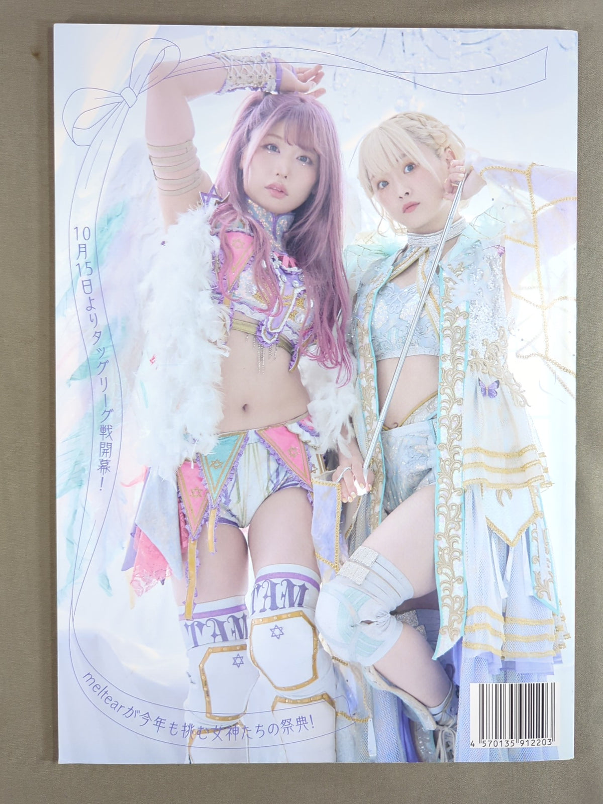 STARDOM OFFICIAL GUIDE BOOK 5★STAR GP 2023 Special