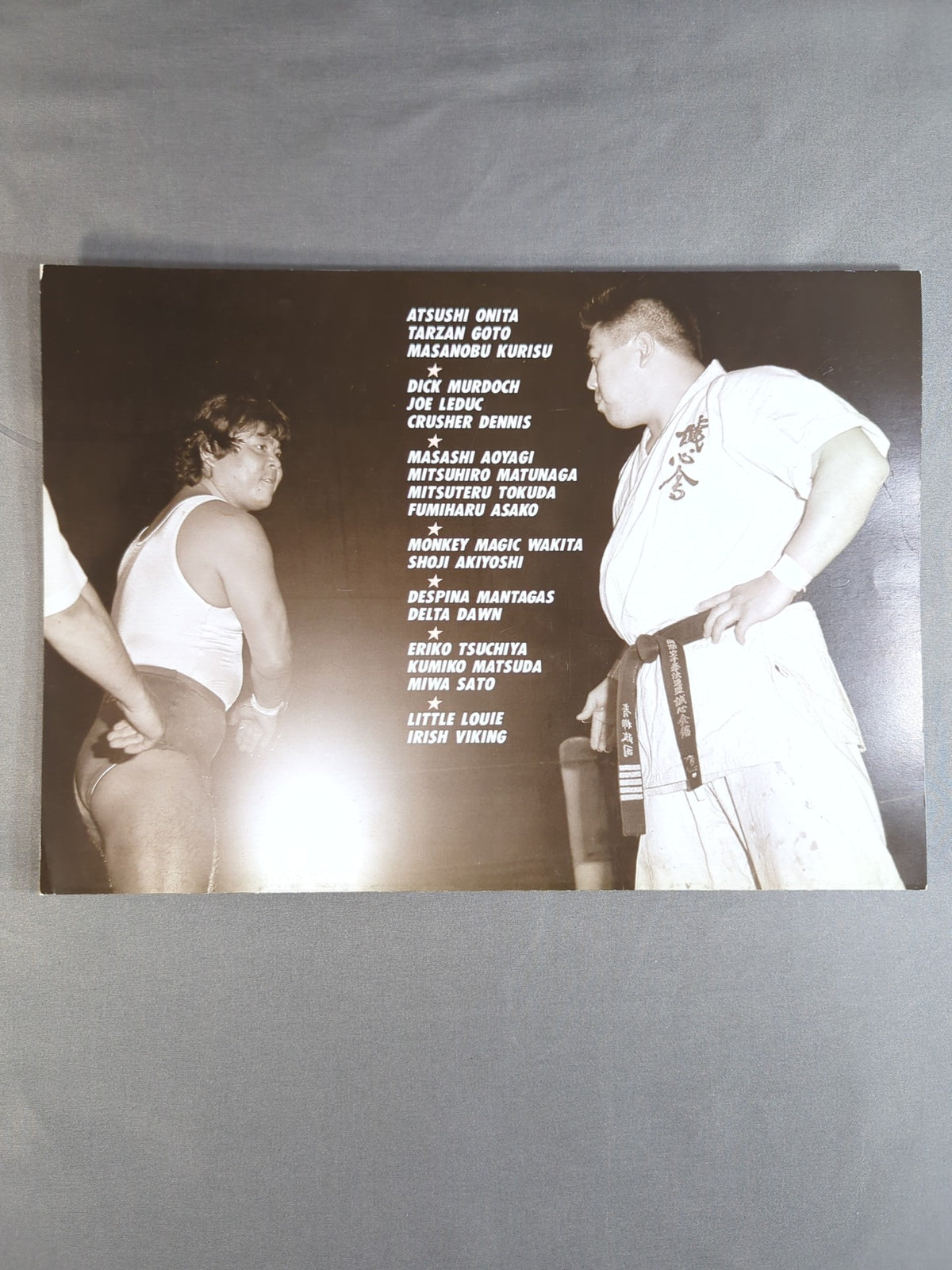★ First issue ★ FMW / HEADLINE OFFICIAL PROGRAM No.1