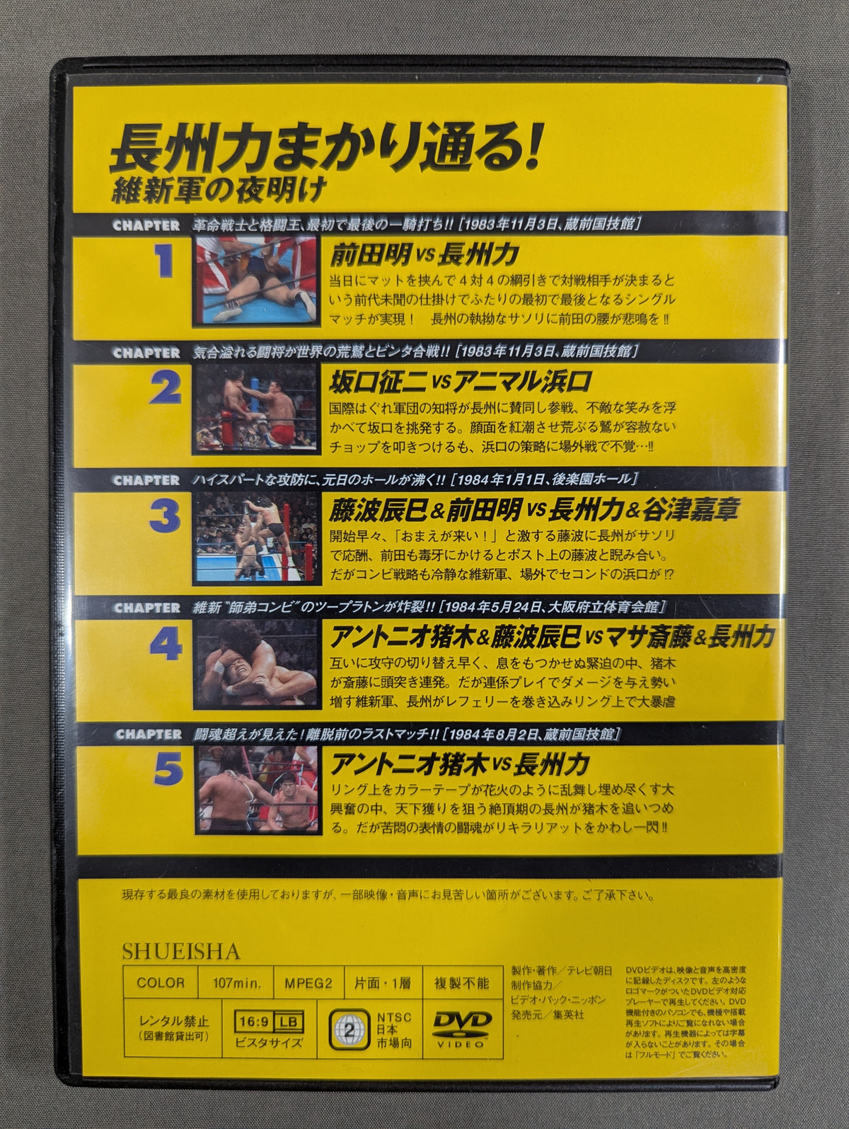 燃えろ!新日本プロレス vol.13