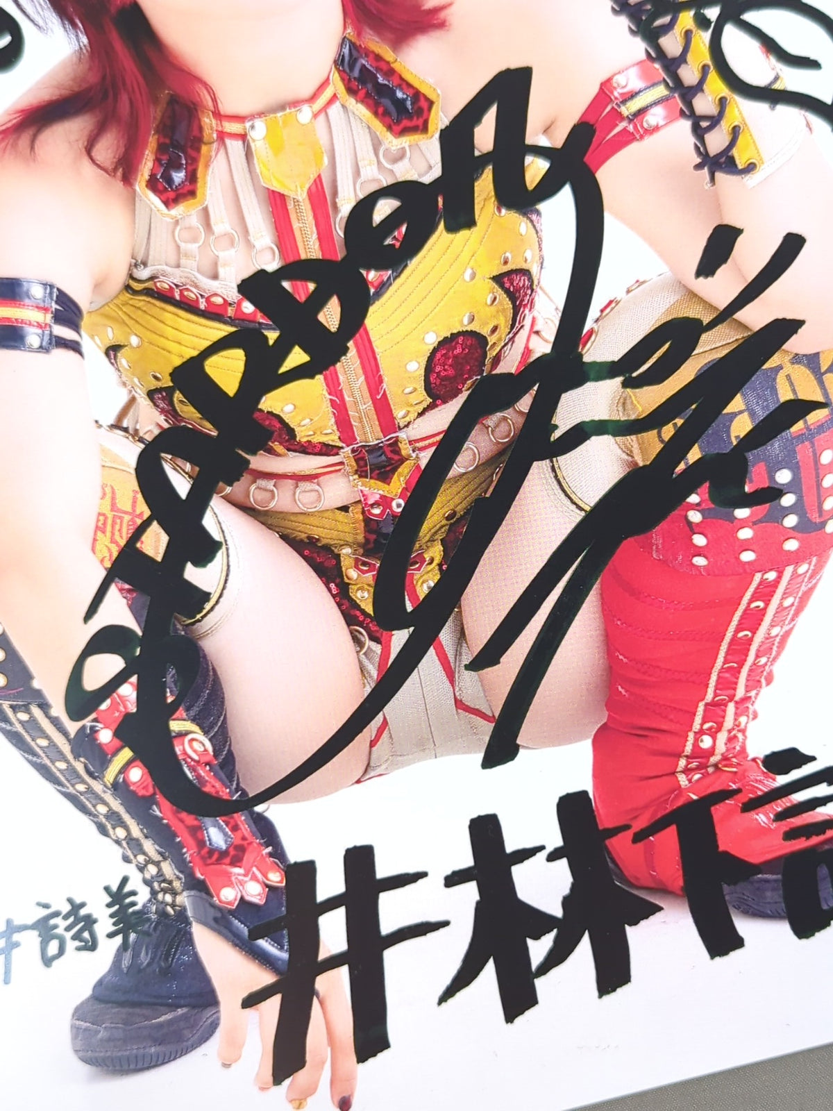 Utami Hayashishita Pro-Photo (B-4)