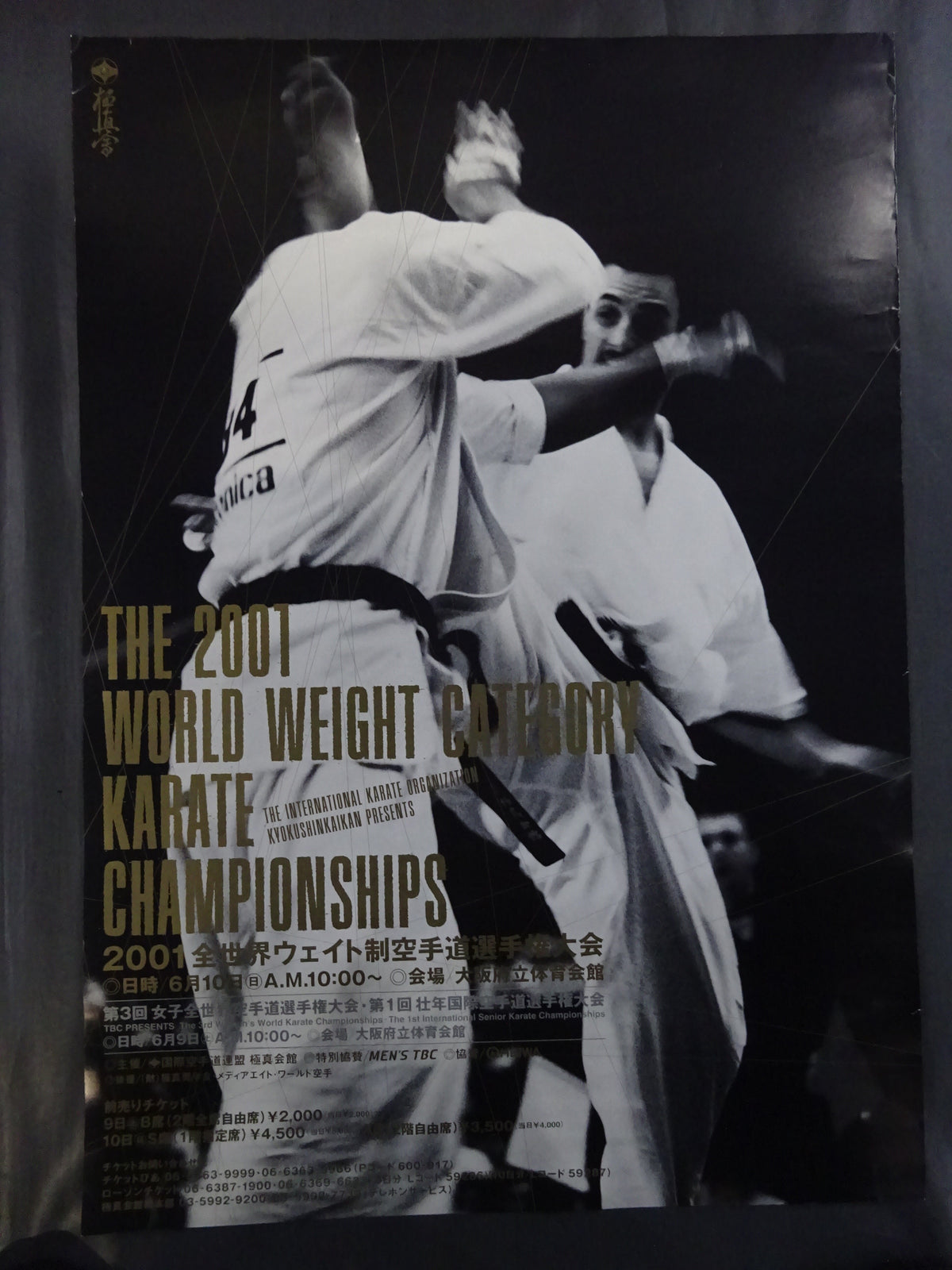 Kyokushin KARATE Conference Poster Set (1)