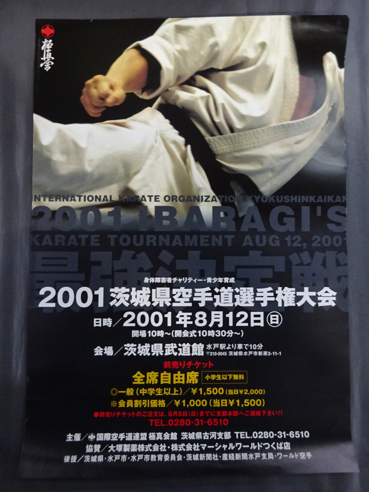 Kyokushin KARATE Tournament Poster Set (6)