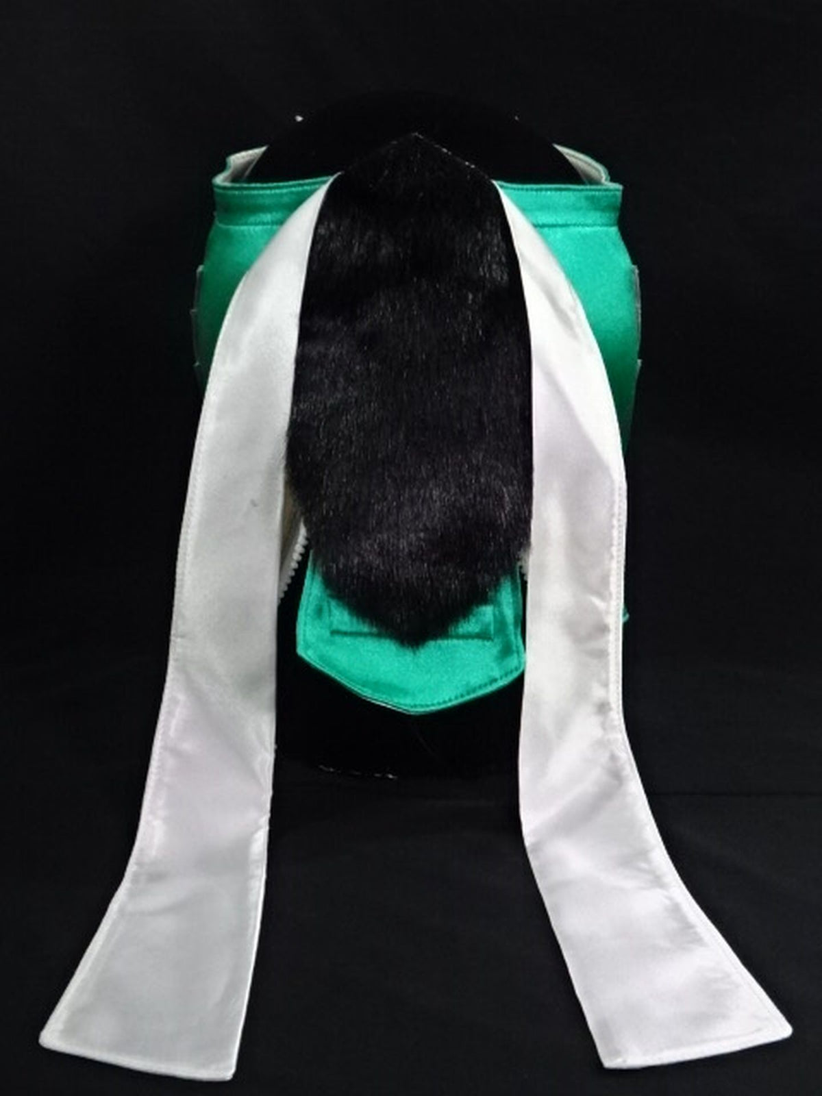 HAYABUSA 