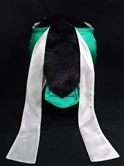 HAYABUSA 