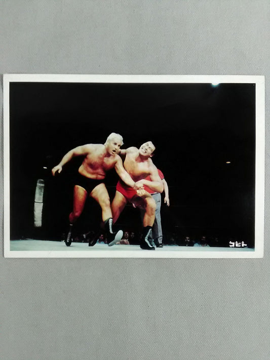 コビト製 日本プロレス レスラーブロマイド⑮