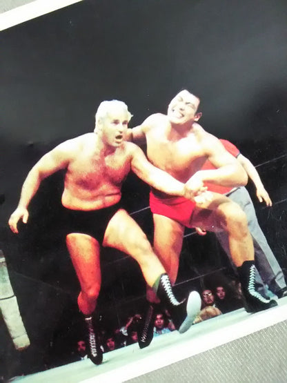 Japan Pro Wrestling  Wrestler Photo made by Kobito(15)