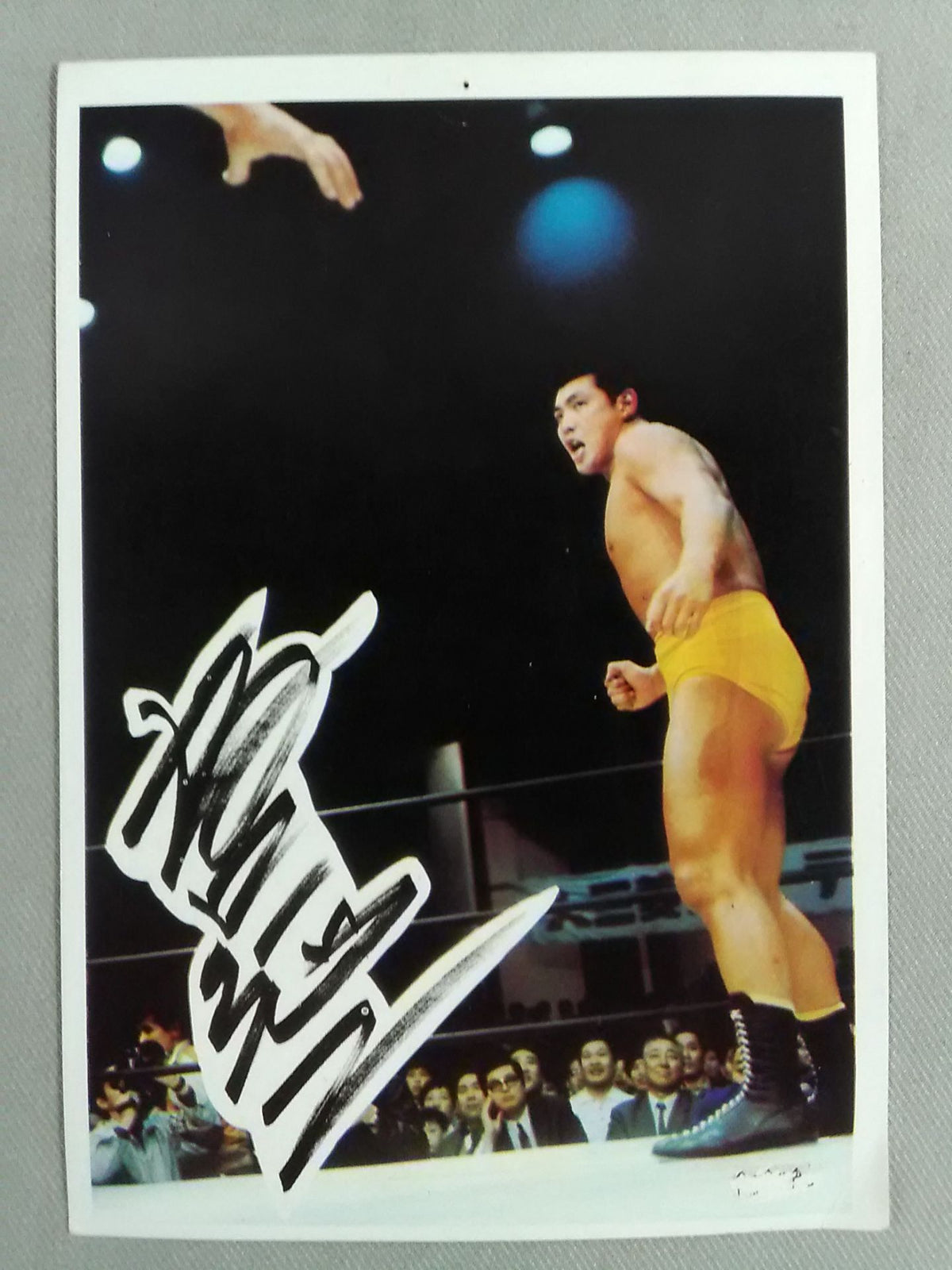 Japan Pro Wrestling Wrestler Photos made by Kobito(5)