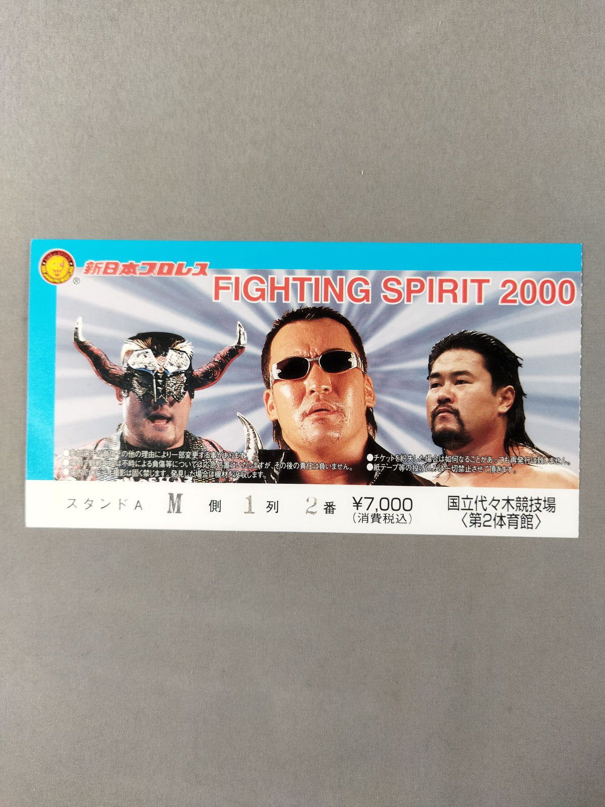 FIGHTING SPIRIT 2000