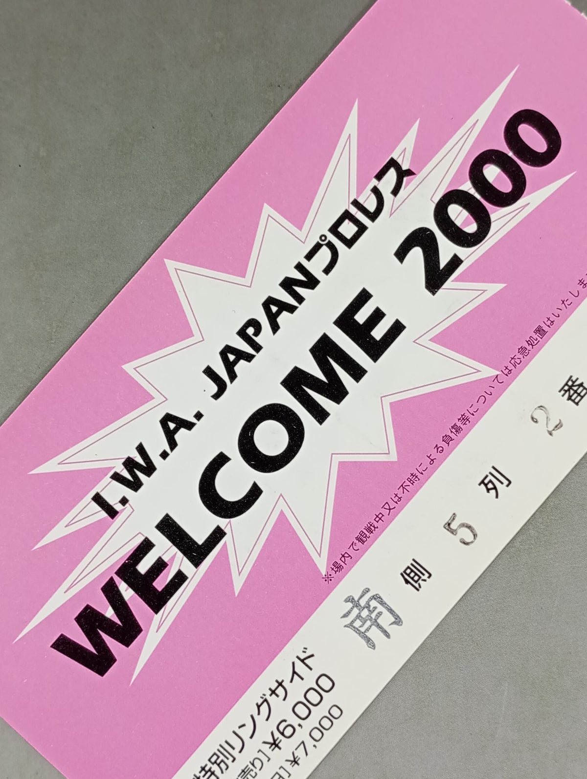 I.W.A. JAPAN Pro Wrestling  "WELCOME 2000"