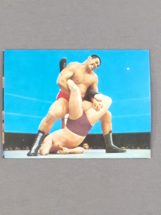 Seiji Sakaguchi Yamakatsu Pro Wrestling Card (32)