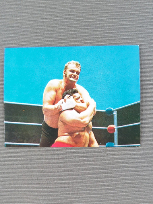 Stan Stasiak Yamakatsu Pro Wrestling Cards (38)