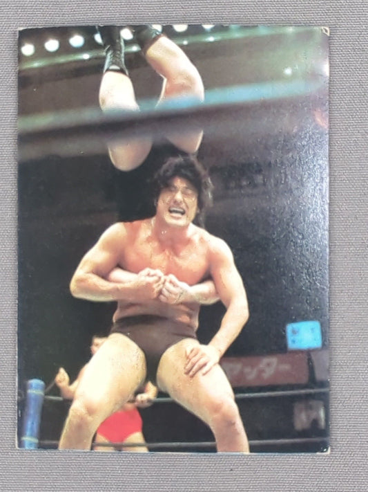 Antonio Inoki  Yamakatsu Pro Wrestling Cards (19)
