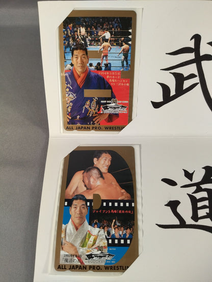 ★世界の巨人 激動の30年!!★ ジャイアント馬場 30 BEST MATCH IN BUDOKAN
