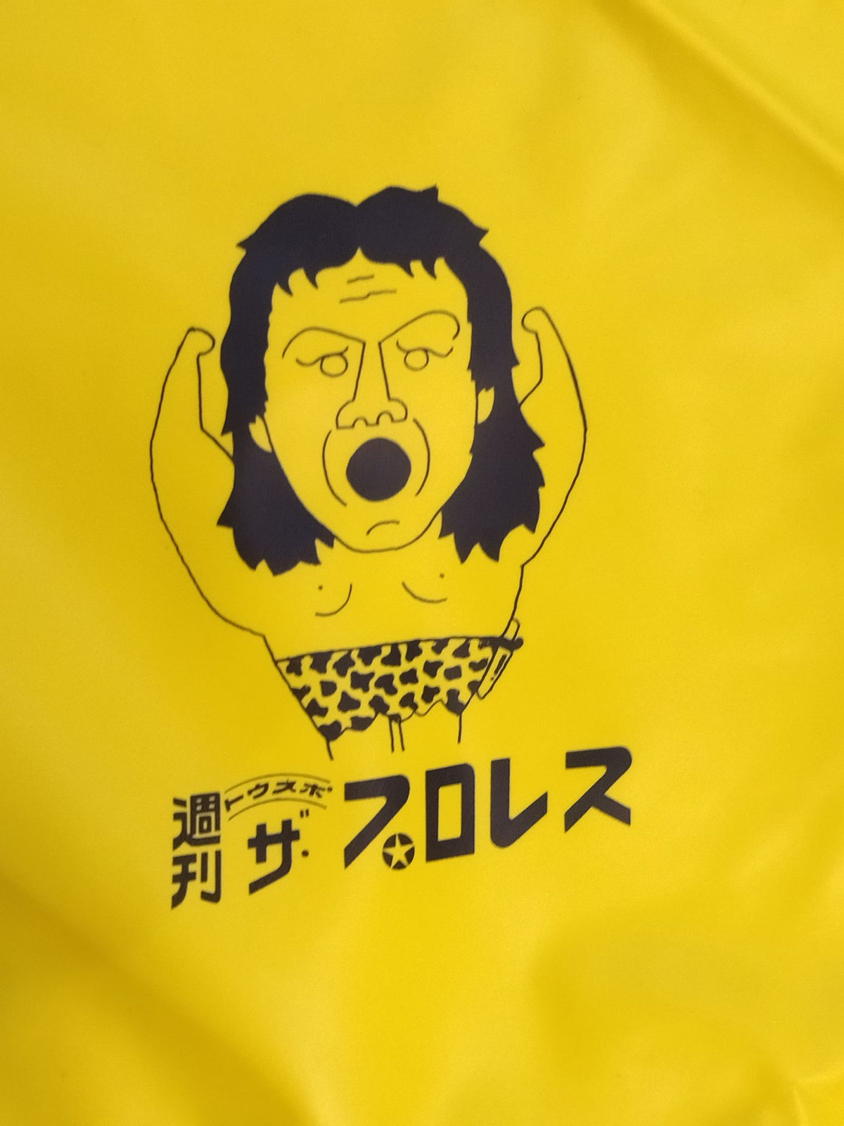 Weekly  The Pro Wrestling Riki Choshu Poncho