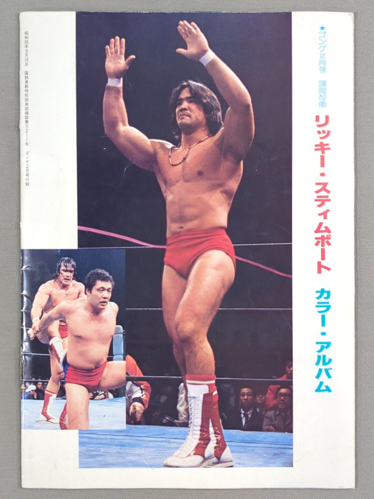 リッキー・スティムボート カラー・アルバム / RICKY STEAMBOAT COLOR ALBUM