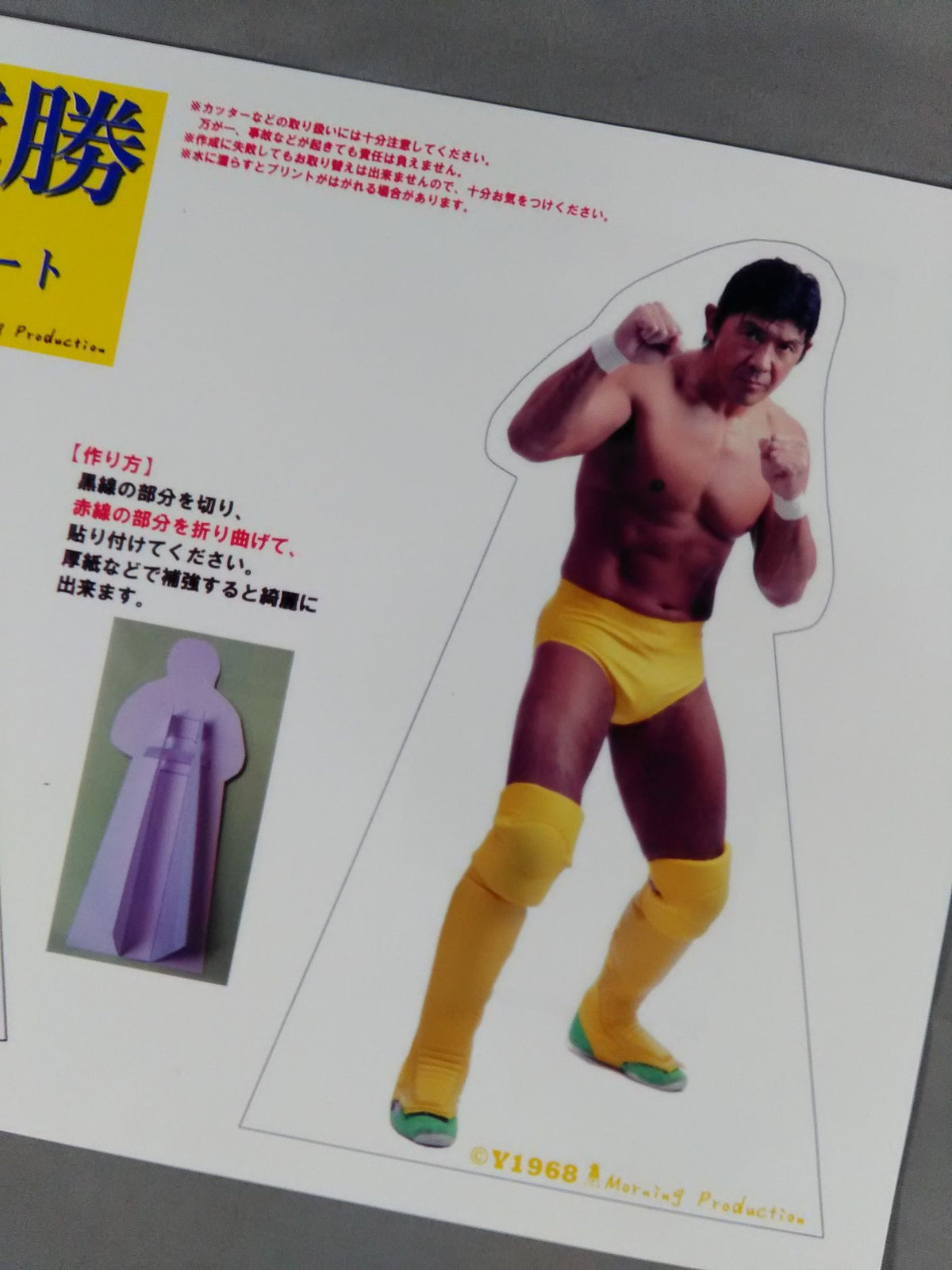 ★闘宝伝承★ 船木誠勝 1/10 スケール ミニパネルキットシート
