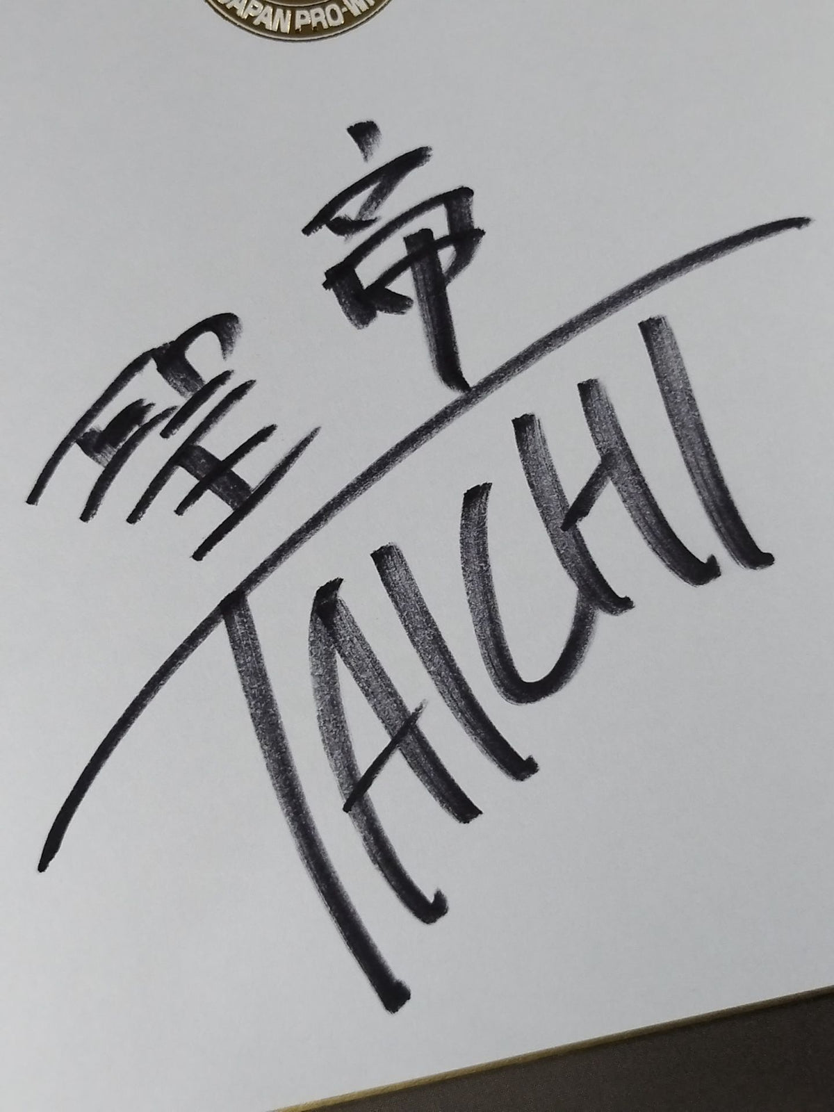 タイチ(ライオンマーク色紙)