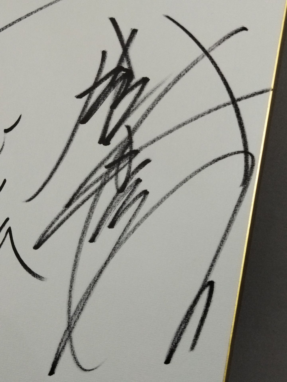 Taiyo Kea  & Minoru Suzuki