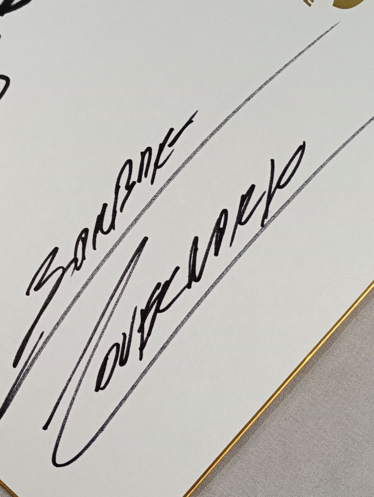 OKUMURA & Barbaro Cavernario (King of Pro-wrestling ) Shikishi ( Autograph board ) )