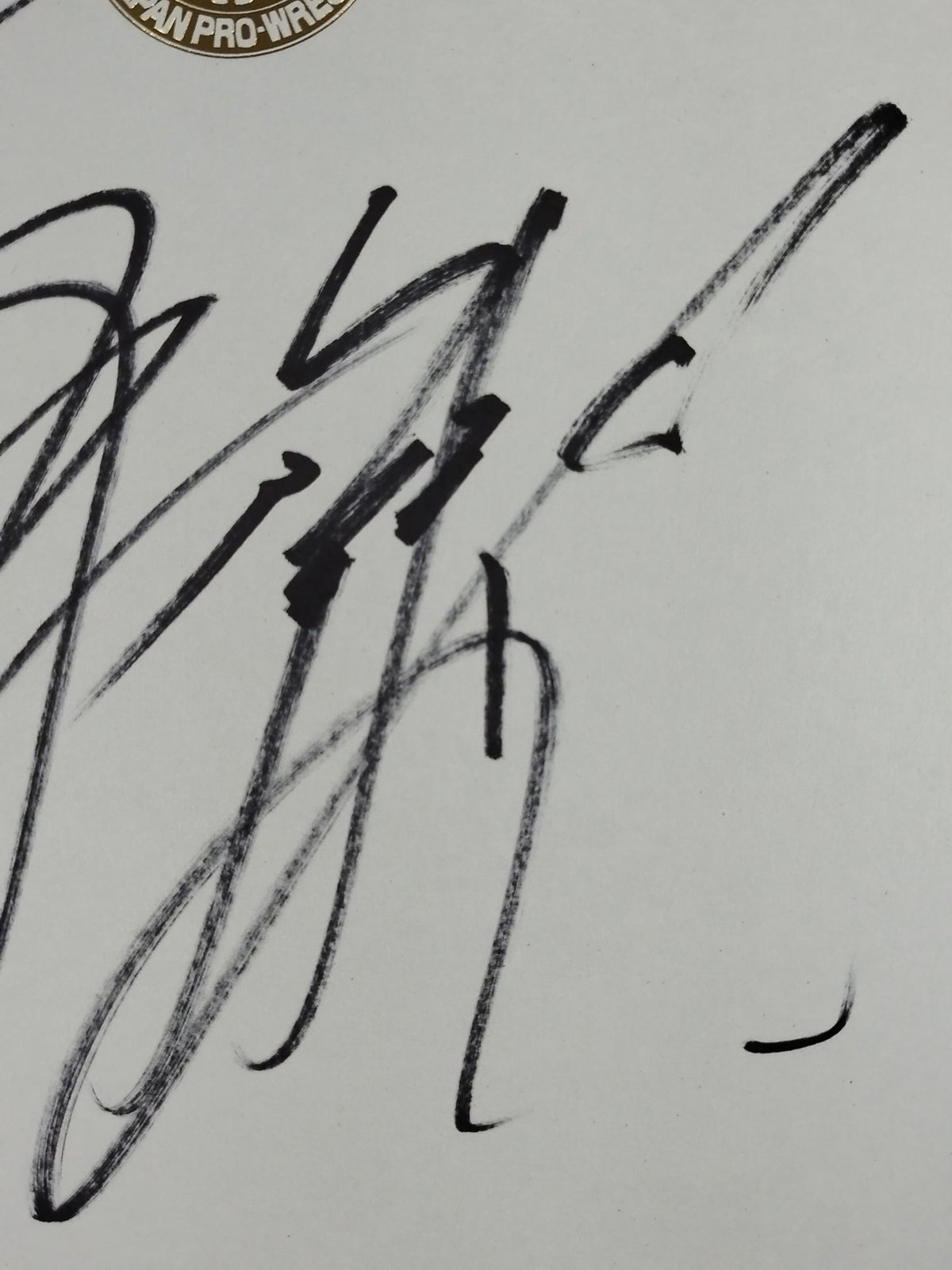 真壁刀義＆後藤洋央紀(ライオンマーク色紙)
