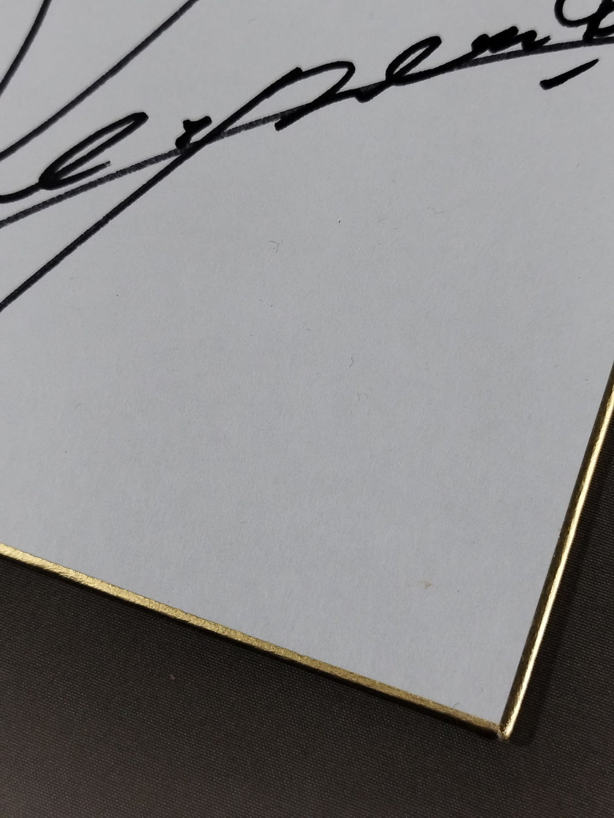 Yoshinobu Kanemaru  and Lion Mark Shikishi ( Autograph board ) )